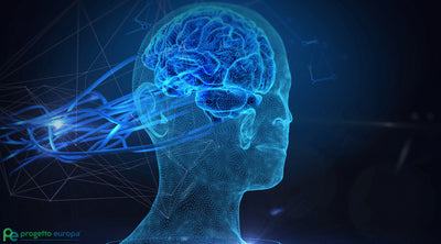 Lavoro e Intelligenza Emotiva: Perché È Cruciale per il Successo Personale e Aziendale